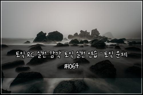 토익 RC 실전 감각 토익 실전 연습 : 토익 문제 #1064