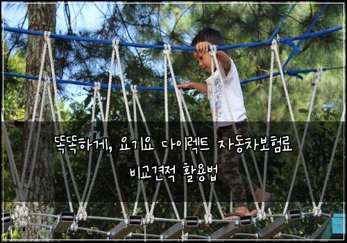  똑똑하게, 요기요 다이렉트 자동차보험료 비교견적 활용법