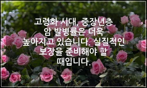 오늘의 이미지