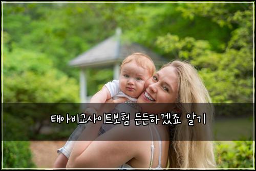 ํ์๋น๊ต์ฌ์ดํธ๋ณดํ ๋ ๋ ํ๊ฒ ์ฃ ์๊ธฐ