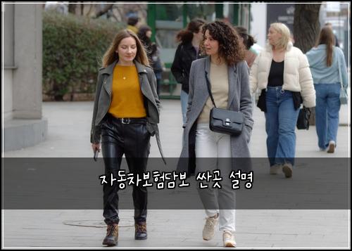 자동차보험담보 싼곳 설명