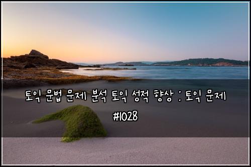 토익 문법 문제 분석 토익 성적 향상 : 토익 문제 #1028