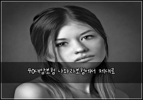 40๋์๋ณดํ ๋์๋ผ๋ณดํ์์ ์ ๋๋ก