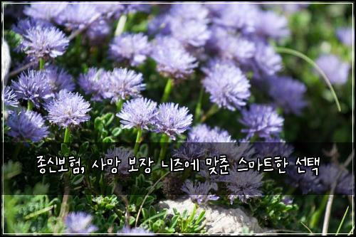 종신보험, 사망 보장 니즈에 맞춘 스마트한 선택