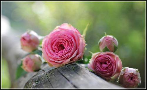 ํ ์ต RC ๋ฌธ์ ์ ๊ทผ๋ฒ ํ ์ต ์ํ : ํ ์ต ๋ฌธ์ #121_20