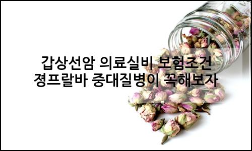 오늘의 이미지