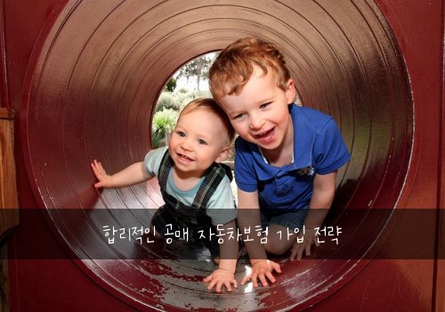  합리적인 공매 자동차보험 가입 전략