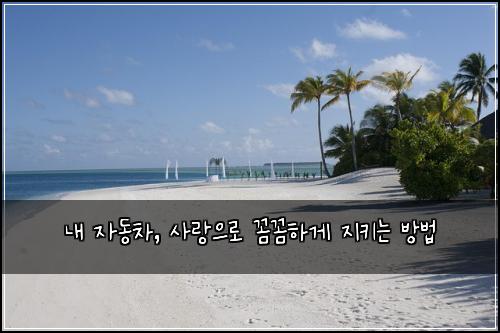  내 자동차, 사랑으로 꼼꼼하게 지키는 방법
