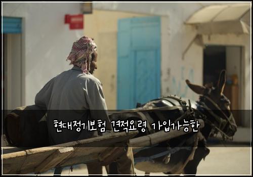 현대정기보험 견적요령  가입가능한