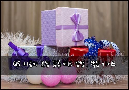 Q5 자동차 보험 꼼꼼 체크 방법 : 핵심 가이드