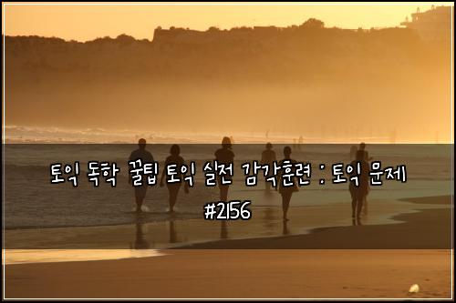 토익 독학 꿀팁 토익 실전 감각훈련 : 토익 문제 #2156