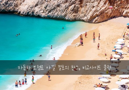 자동차 보험료 아낄 절호의 찬스, 비교사이트 클릭!