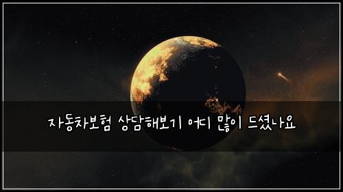 자동차보험 상담해보기  어디 많이 드셨나요