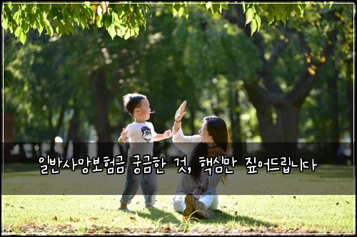  일반사망보험금 궁금한 것, 핵심만 짚어드립니다