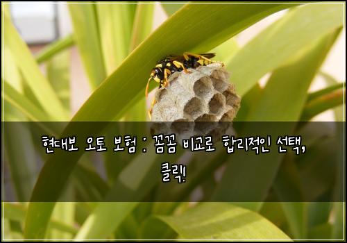 현대보 오토 보험 : 꼼꼼 비교로 합리적인 선택, 클릭!