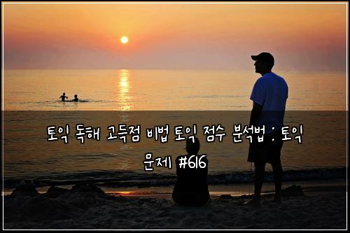 토익 독해 고득점 비법 토익 점수 분석법 : 토익 문제 #616