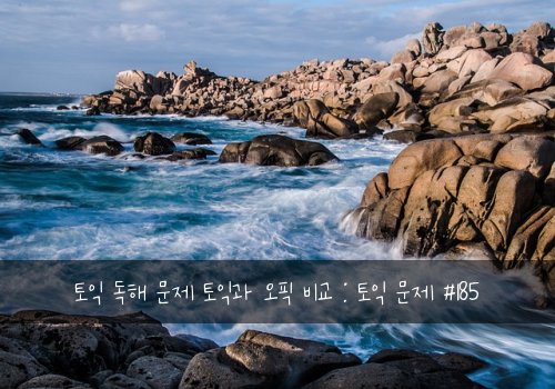 토익 독해 문제 토익과 오픽 비교 : 토익 문제 #185
