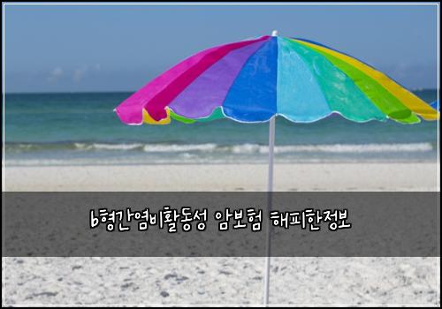 b형간염비활동성 암보험 해피한정보 