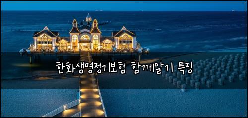 한화생명정기보험 함께알기  특징