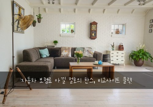 자동차 보험료 아낄 절호의 찬스, 비교사이트 클릭!