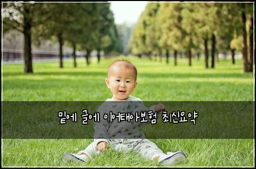 ๋ฐ์ ๊ธ์ ์ด์ดํ์๋ณดํ ์ต์ ์์ฝ