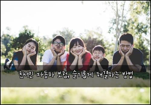 친서민 자동차 보험, 슬기롭게 해결하는 방법