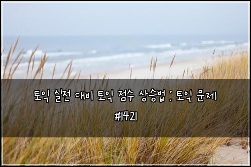 토익 실전 대비 토익 점수 상승법 : 토익 문제 #1421