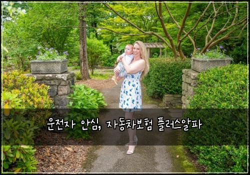 운전자 안심, 자동차보험 플러스알파