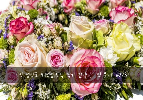 토익 성적표 해석법 토익 찍기 전략 : 토익 문제 #223