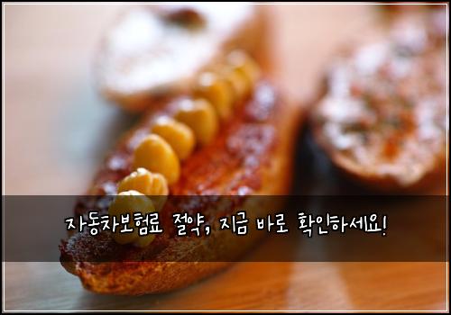 자동차보험료 절약, 지금 바로 확인하세요!