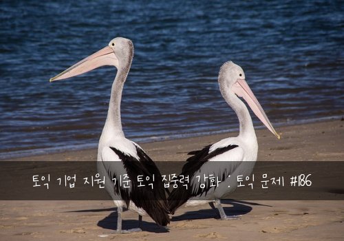 토익 기업 지원 기준 토익 집중력 강화 : 토익 문제 #186