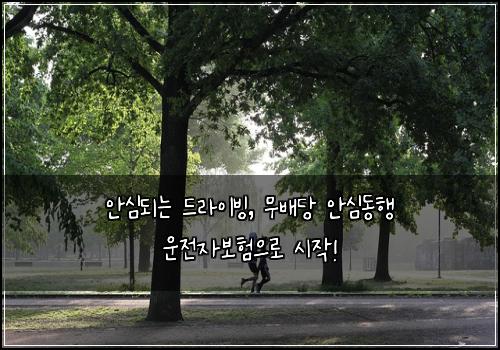  안심되는 드라이빙, 무배당 안심동행 운전자보험으로 시작!