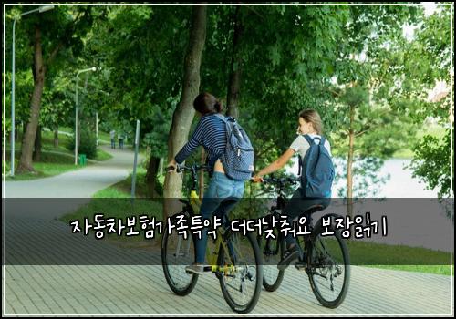์๋์ฐจ๋ณดํ๊ฐ์กฑํน์ฝ ๋๋๋ฎ์ถฐ์ ๋ณด์ฅ์ฝ๊ธฐ