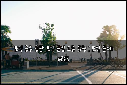 토익 공부 습관 토익 문법 오류 유형 : 토익 문제 #863
