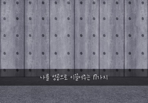 나를 성공으로 이끌어주는 17가지