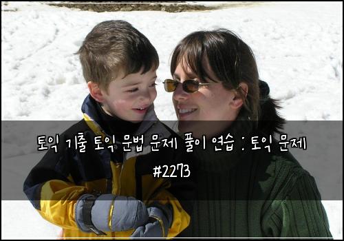 토익 기출 토익 문법 문제 풀이 연습 : 토익 문제 #2273