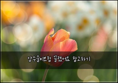암수술비보험 끌렸어요  참고하기