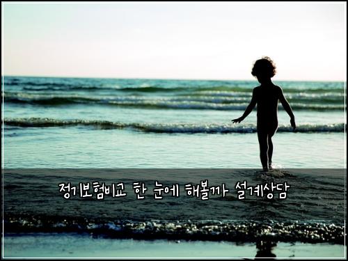 정기보험비교 한 눈에 해볼까 설계상담