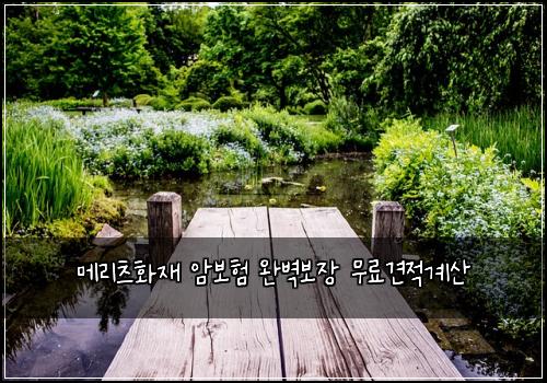 λ©λ¦¬μΈ νμ¬ μ보ν μ벽보μ₯ 무λ£κ²¬μ κ³μ°