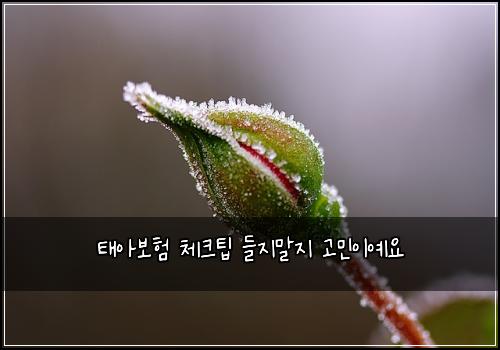 νμ보ν 체ν¬ν λ€μ§λ§μ§ κ³ λ―Όμ΄μμ
