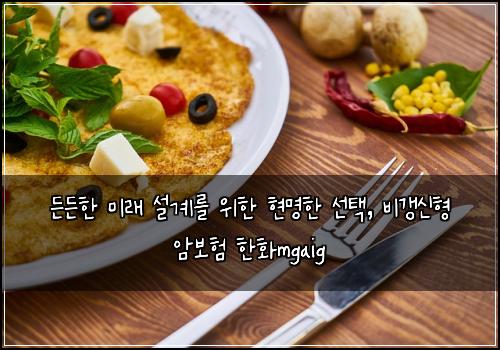  든든한 미래 설계를 위한 현명한 선택, 비갱신형 암보험 한화mgaig