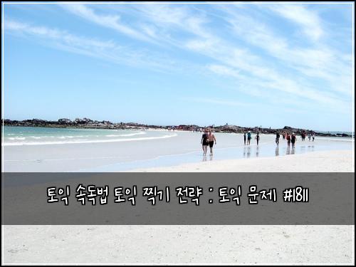 토익 속독법 토익 찍기 전략 : 토익 문제 #1811