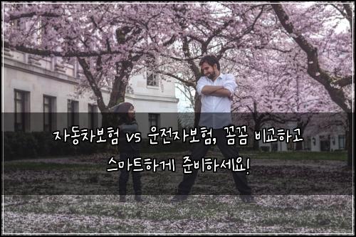 자동차보험 vs 운전자보험, 꼼꼼 비교하고 스마트하게 준비하세요!