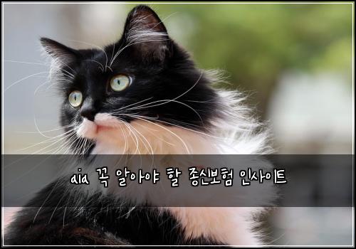 aia 꼭 알아야 할 종신보험 인사이트
