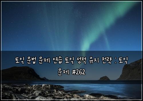 토익 문법 문제 연습 토익 성적 유지 전략 : 토익 문제 #262