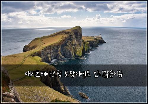 매리츠태아보험 보장이에요  인기많은이유