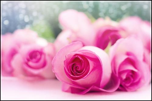 ํ ์ต ๋
ํด ์ดํ ์ ๋ฆฌ ํ ์ต ์ ์ ๋ณ๋ ์ ์ง ์ ๋ต : ํ ์ต ๋ฌธ์ #120_98