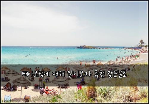 ํ์๋ณดํ์ ๋ํด ์์๋ณด์ ์ถ์ฒ ๋ง๋๊ฑธ๋ก