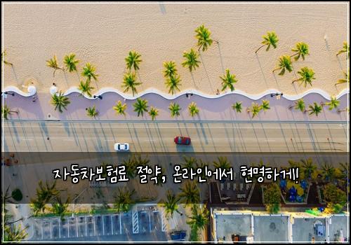 자동차보험료 절약, 온라인에서 현명하게!