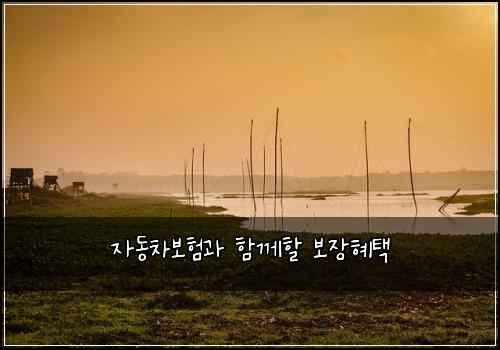 자동차보험과 함께할 보장혜택